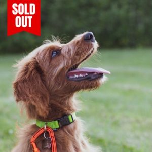 Teen Life Skills Course - Saturdays (10:30AM) - Ferndown