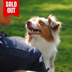 Teen Life Skills Course - Tuesdays (8PM) - Ferndown